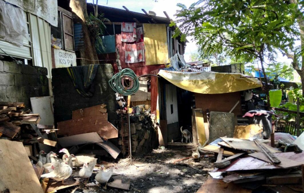 Ein einfaches, provisorisch gebautes Haus aus Holz und Wellblech, umgeben von Hühnern, Schutt, Brettern und wenigen Alltagsgegenständen im Außenbereich.