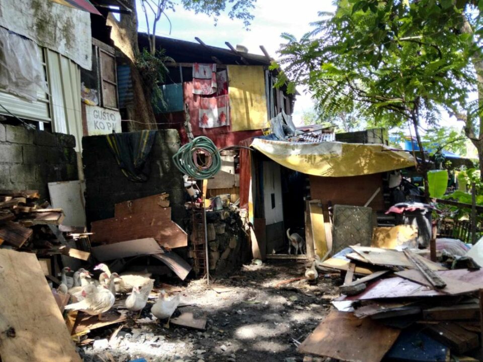 Ein einfaches, provisorisch gebautes Haus aus Holz und Wellblech, umgeben von Hühnern, Schutt, Brettern und wenigen Alltagsgegenständen im Außenbereich.