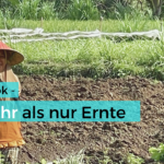 Drei Personen mit traditionellen Strohhüten arbeiten auf einem Feld in Jineng auf der indonesischen Insel Lombok. Eine Frau lächelt in die Kamera.