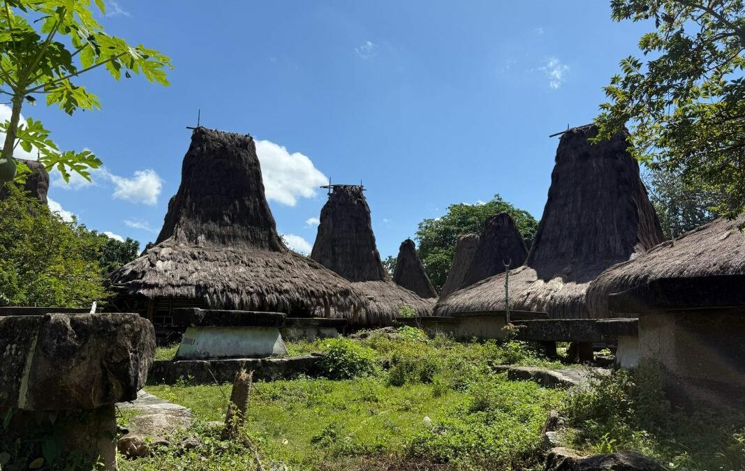 Traditionelle Häuser mit hohen Strohdächern in einem Dorf auf der indonesischen Insel Sumba.