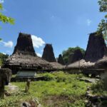 Traditionelle Häuser mit hohen Strohdächern in einem Dorf auf der indonesischen Insel Sumba.
