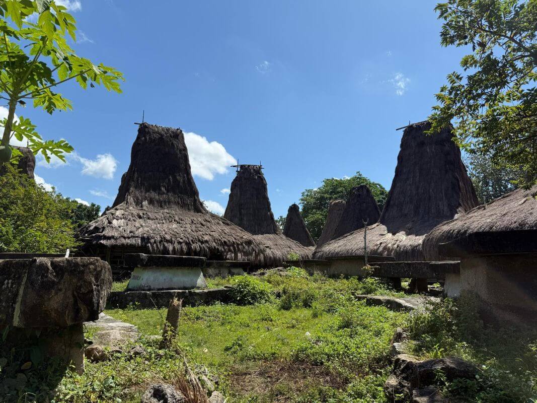 Traditionelle Häuser mit hohen, spitz zulaufenden Strohdächern in einem Dorf auf der indonesischen Insel Sumba, blauer Himmel.